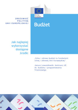 Budżet – Jak najlepiej wykorzystać dostępne środki – 2014