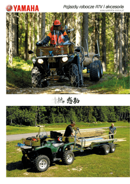 Katalog ATV 2014 (pdf, 11 MB) - Yamaha