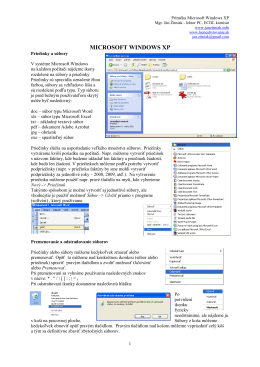 Príručka Microsoft Windows