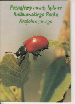Broszura - Poznajemy owady lądowe BPK Pobierz plik PDF, rozm. 2