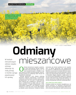 Odmiany mieszańcowe.