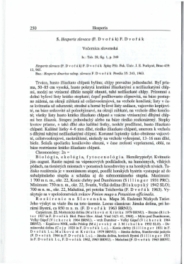 250 Hesperis 5. Hesperis slovaca (F. D vofak ) F . D vorak Vecernica