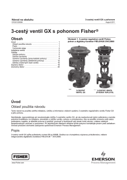 3-cestý ventil GX s pohonom Fisherr