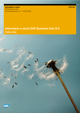 Informácie o verzii SAP Business One 9.0