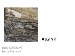 ALGINIT - Webnode