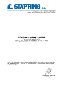 Ročná finančná správa (.pdf)