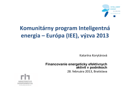 Prezentácia Korytarova IEE BIC 28.2.2013