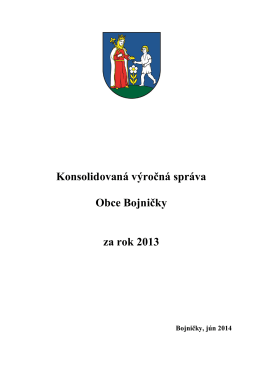 Konsolidovaná výročná správa Obce Bojničky za rok 2013