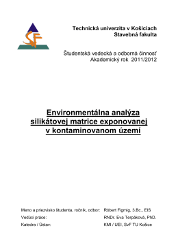 Environmentálna analýza silikátovej matrice exponovanej v