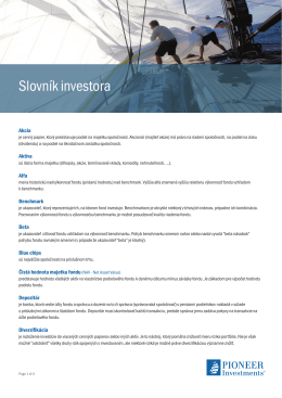Slovník investora - Pioneer Investments