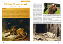 Bladhaund - International Bloodhound Academy