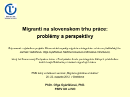 Migranti na slovenskom trhu práce: problémy a perspektívy