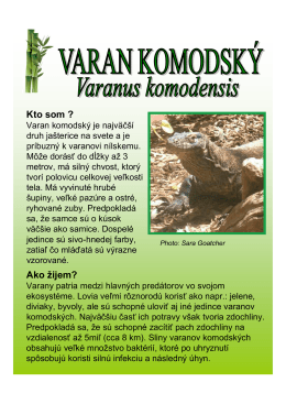 Varan komodský (PDF 284 kB)