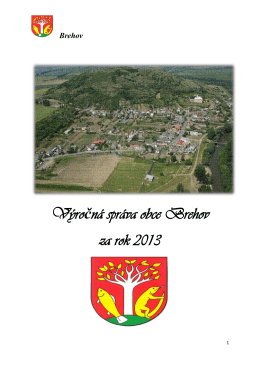 Výročná správa obce Brehov za rok 2013