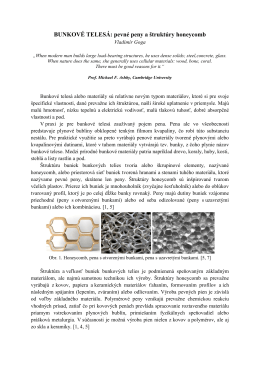 Bunkove telesa - penove materialy.pdf