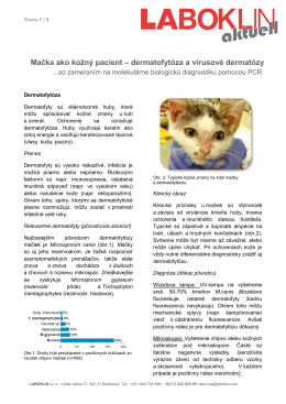 Mačka ako kožný pacient – dermatofytóza a vírusové