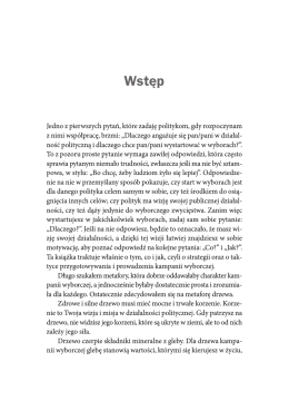 (Drzewo kampanii wyborczej - fragment tekstu (wstep).pdf)