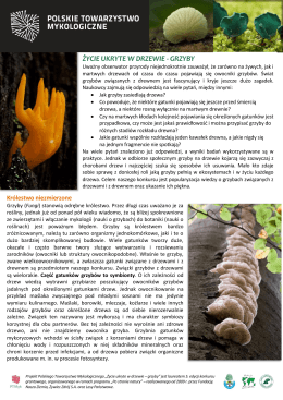 pobierz plik pdf - Polskie Towarzystwo Mykologiczne