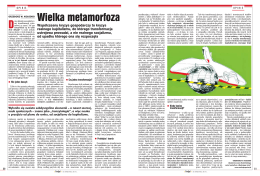 "Wielka metamorfoza", PRZEGLĄD, 18 kwietnia 2010, s. 50-51