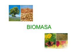 Základné údaje o biopalivách