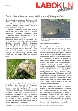 Časté ochorenia u suchozemských a vodných korytnačiek