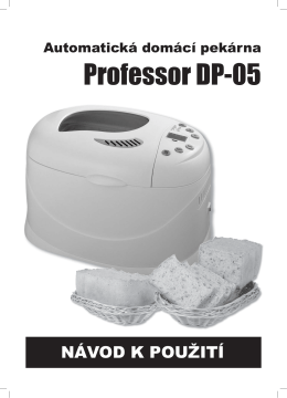 Professor DP-05 - raj