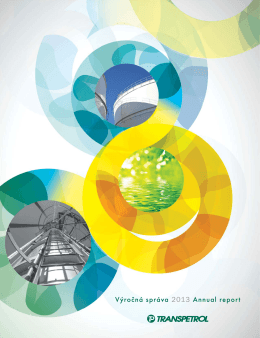 Výročná správa 2013 Annual report