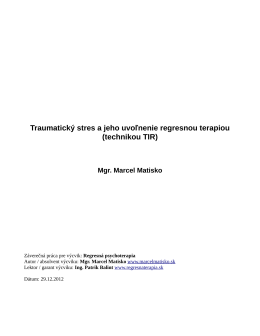 Záverečná práca Marcela Matiska vo formáte pdf