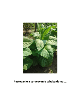 Pestovanie a spracovanie tabaku doma
