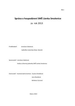 Správa o hospodárení SMŠ Lienka Smolenice za rok 2013