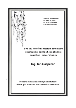 Ing. Ján Gašperan