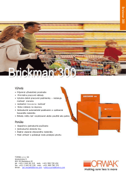Brickman 300