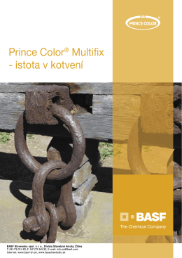 Prince Color® Multifix
