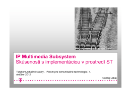 TS__Multimedia_Subsystem_ST_Labaj