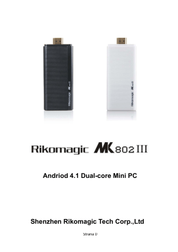 Andriod 4.1 Dual-core Mini PC Shenzhen Rikomagic