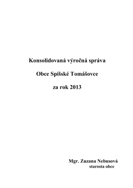 Konsolidovaná výročná správa obce za rok 2013