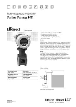 Proline Promag 10D - E