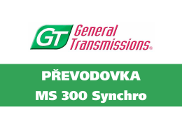 GT 300 Synchro