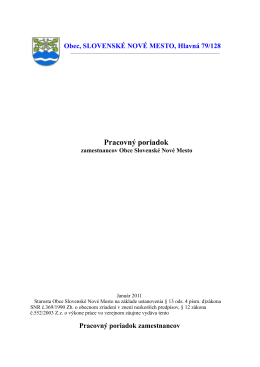 dokument formátu pdf - Obec Slovenske Nove Mesto