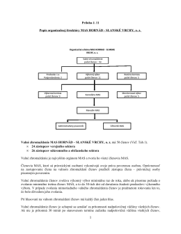 Príloha č. 11 Popis organizačnej štruktúry MAS HORNÁD