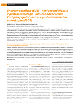 Endosonograficky (EUS) – navigovaná biopsia v