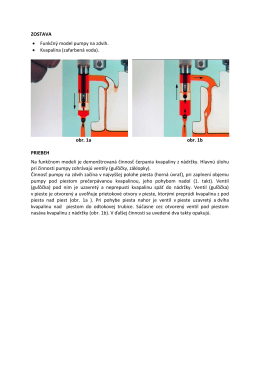 ZOSTAVA • Funkčný model pumpy na zdvih. • Kvapalina (zafarbená