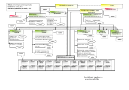 Organizačná štruktúra.pdf