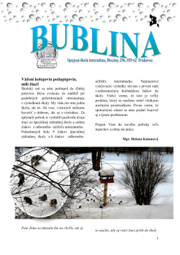 Bublina 3.pdf