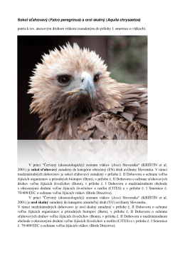 Sokol sťahovavý (Falco peregrinus) a orol skalný (Aquila chrysaetos