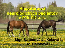 Hippoterapia neurologických pacientov v PJK Číž a.s.