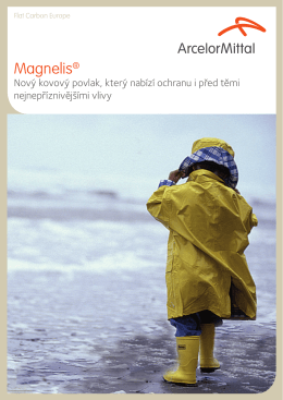 Magnelis® - Industry