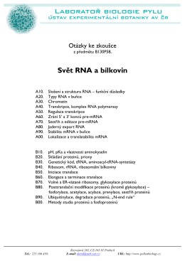 Svět RNA a bílkovin