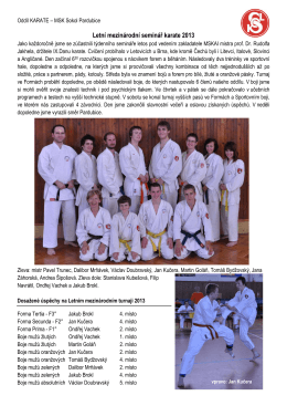 Letní mezinárodní seminář karate 2013