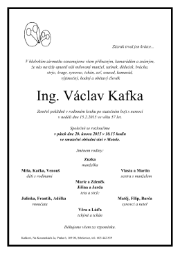 Ing. Václav Kafka